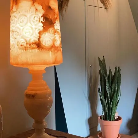Dilectus Homestay szállás *